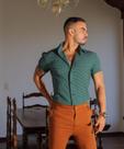 Camisa listras verde Camisa listras verde