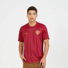 Camisa Masculina Braziline Fluminense Fulgor -
