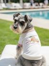 Camisa Moranguinho Tom Tom para cachorro e gato TAM:G