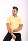 Camisa polo