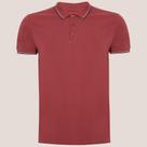 Camisa Polo Dudalina Frisos Degradê Pr26 Rosa Masculino