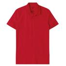 Camisa Polo Malha Masculina Malwee Ref. 4430
