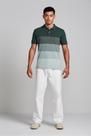 Camisa Polo Piquet Slim Fit - Verde Escuro / Verde Claro