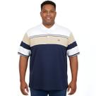 Camisa Polo Plus Size Vilejack Listras Bordado Peito Confort Camisa Polo Plus Size Vilejack Listras Bordado Peito Confort