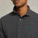 Camisa Polo R L Clássica Grafite