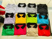 camisa polo