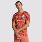 Camisa Puma Goleiro Palmeiras II 2025 Com Patrocínio