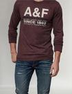 Camiseta Abercrombie Fitch Elevated Graphic Tamanho G