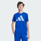 Camiseta Adidas Big Logo Juvenil Azul