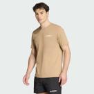 Camiseta Adidas Terrex Mountain Bege