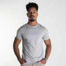 Camiseta Aramis Básica Cinza