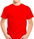 Camiseta Básica Kit 10 peças juvenil infantil Menina e Menino 100% algodão