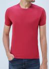 Camiseta Básica Slim Ogochi