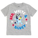 Camiseta Bluey, 4 de julho, criança, menino, menina, cinza, 4-5 anos