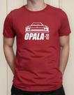 Camiseta Camisa Adulto Feminina Masculina Algodão Carro Antigo Opala MD1