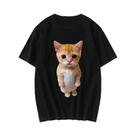 Camiseta Casual Oversized Com Estampa 3D De Gato Engraçado Estilo Harajuku Para Mulheres E Homens, Camiseta Casual Oversized Com Estampa 3D De Gato Engraçado Estilo Harajuku Para Mulheres E Homens,