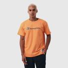 Camiseta champion life colors script logo emb