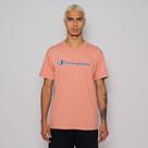 Camiseta champion life colors script logo emb