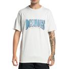 Camiseta DC Shoes Tall Stack WT23 Masculina Off White