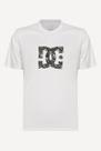 Camiseta Dc Skully Masculina Camiseta Dc Skully Masculina