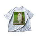 Camiseta De Gato Engraçada Com Meme De Gato E Coruja - Meowl Brainrot Catito