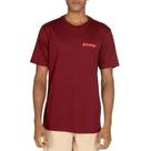 Camiseta Element Blazin Chest