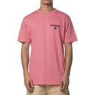 Camiseta Element Disco SM24 Masculina Rosa