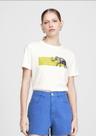 Camiseta em Algodão Estampa Elefante