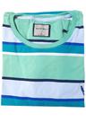 Camiseta gola redonda listrada verde água azul e branco Coleção Elegance Arara