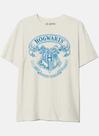 CAMISETA HARRY POTTER BLAZON - BandUp