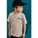 Camiseta Infantil Jurassic Menino Pteranodon Cinza Kippos