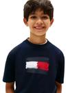Camiseta Infantil Large Flag - KB0KB10111 Camiseta Infantil Large Flag - KB0KB10111