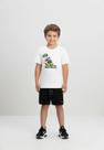 Camiseta Infantil Masculina em Meia Malha Team Brasil