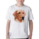 Camiseta Infantil ou adulto Golden Retriever face Blusa Criança todos tamanhos
