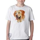 Camiseta Infantil ou adulto Labrador Caramelo Blusa Criança todos tamanhos