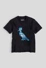Camiseta Infantil Pica Pau Raio X Ii Reserva Mini