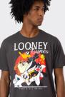 Camiseta Looney Tunes Squad