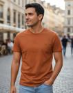 Camiseta Manga Curta Essencial Slim Lisa Basica Ogochi Terracota Liso P
