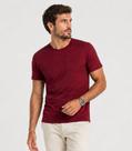 Camiseta Masculina Básica Em Malha Rover Select Vermelho