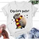 Camiseta Masculina Blusa Feminina 100% Algodão Harry Potter Capivara Simples Lançamento 2024