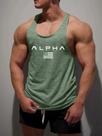 Camiseta Masculina De Tamanho Europeu Alpha Com Estampa, Gola Redonda, Secagem Rápida, Para Fitness Camiseta Masculina De Tamanho Europeu Alpha Com Estampa, Gola Redonda, Secagem Rápida, Para Fitness