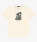 Camiseta Masculina em Meia Malha Diametro Bege