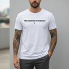Camiseta Masculina Gospel Algodão Premium Malha Conforto Regular Camisa Religiosa Urbana Americana Casual Manga Curta Estilo Cristão Moderno