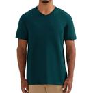 Camiseta Masculina Hering MC Regular Verde - 022B