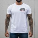 Camiseta Masculina Slim Fit Gratitude Praise Algodão Premium Gola Redonda Casual Conforto Envio Rápido