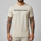 Camiseta Masculina TShirt Minimalista 100 Algodão Premium Camisa Básica Gola Redonda Reforçada Blusa Homens Presente Aniversario