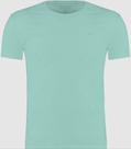 Camiseta ogochi