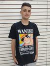 Camiseta onepice adulto Camiseta onepice adulto