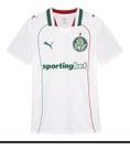 Camiseta Palmeiras Masculina Home Oficial 2026