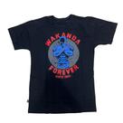 Camiseta Pantera Negra Oficial Blusa Adulto Unissex Sf1365 Camiseta Pantera Negra Oficial Blusa Adulto Unissex Sf1365